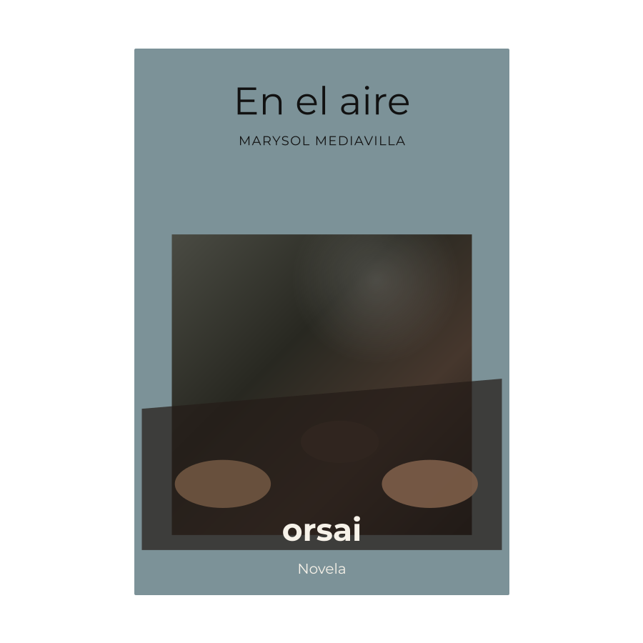 Portada de En el aire